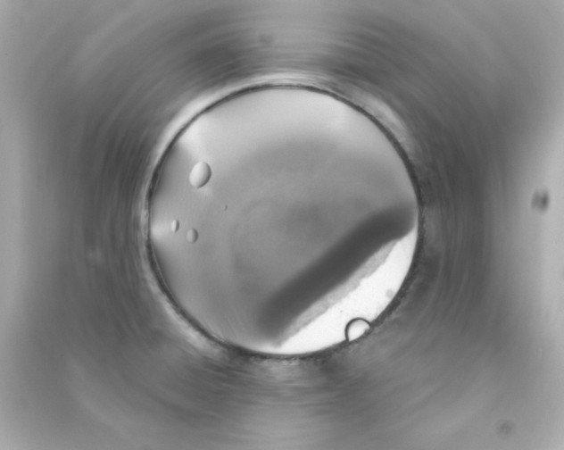 X0000090441428200708102017