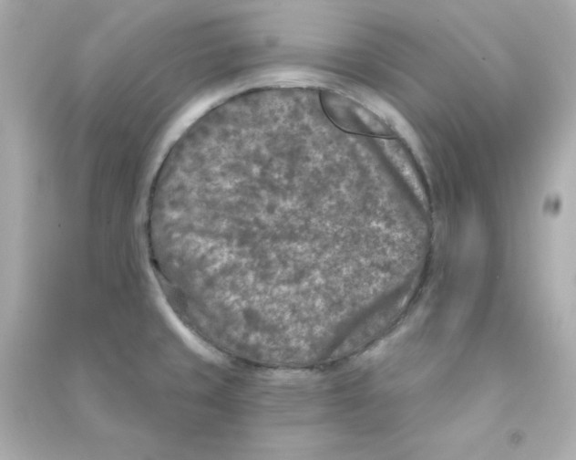 X0000090441429200708102017