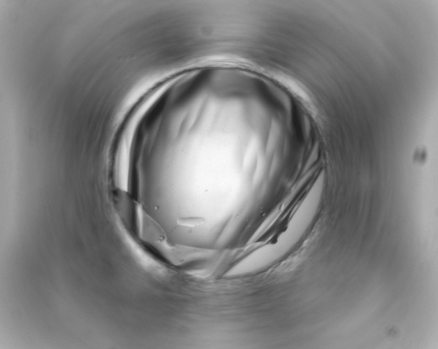 X0000090441430200708102017