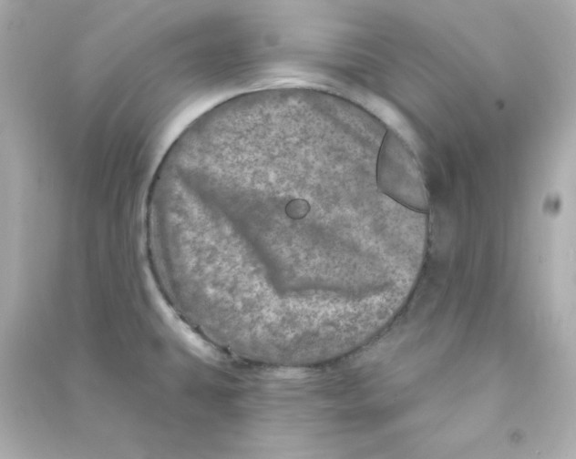 X0000090441431200708102017