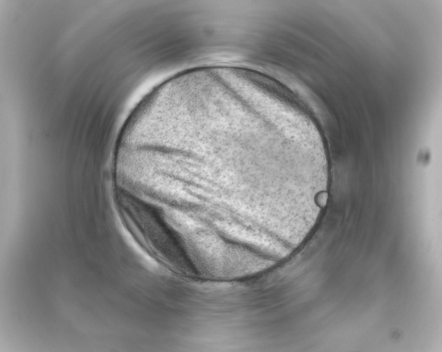 X0000090441432200708102017