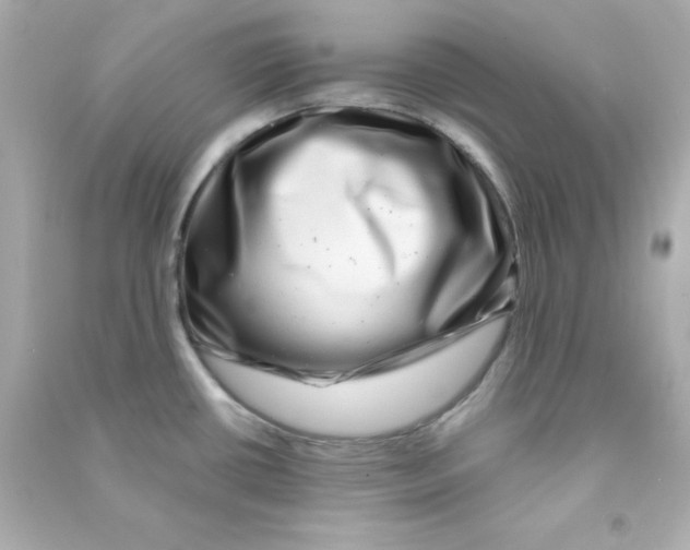 X0000090441434200708102017