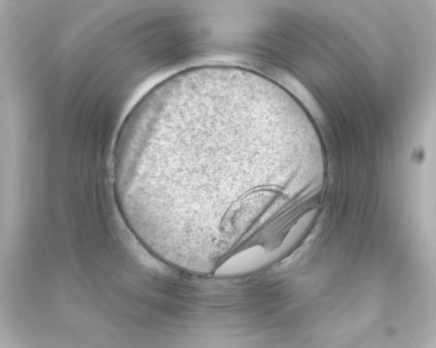 X0000090441436200708102018