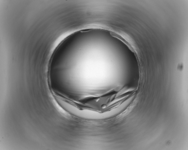 X0000090441438200708102018