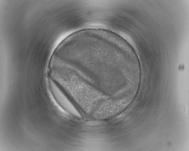 X0000090441440200708102018