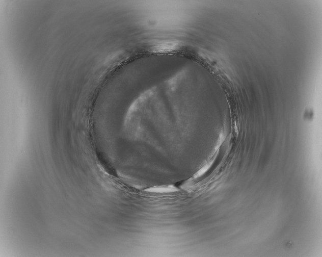 X0000090441441200708102017