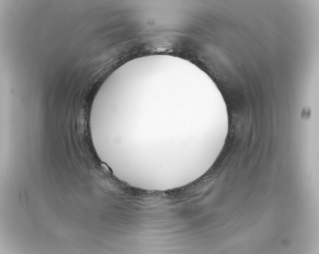 X0000090441442200708102017