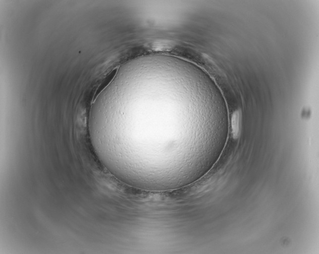 X0000090441443200708102017