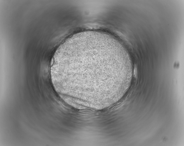 X0000090441444200708102017