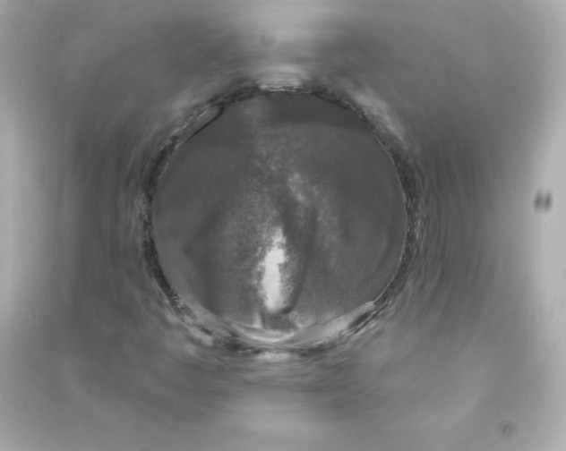 X0000090441445200708102017