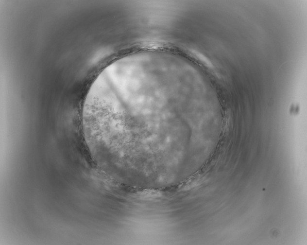 X0000090441446200708102017