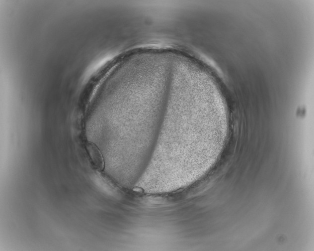 X0000090441448200708102017