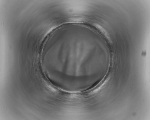 X0000090441449200708102017