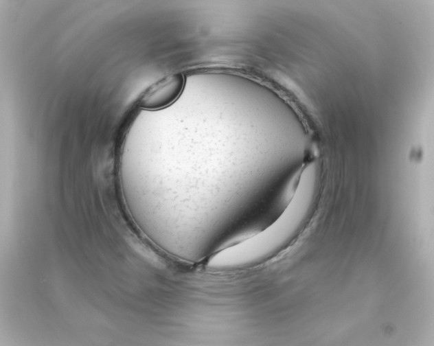 X0000090441450200708102017