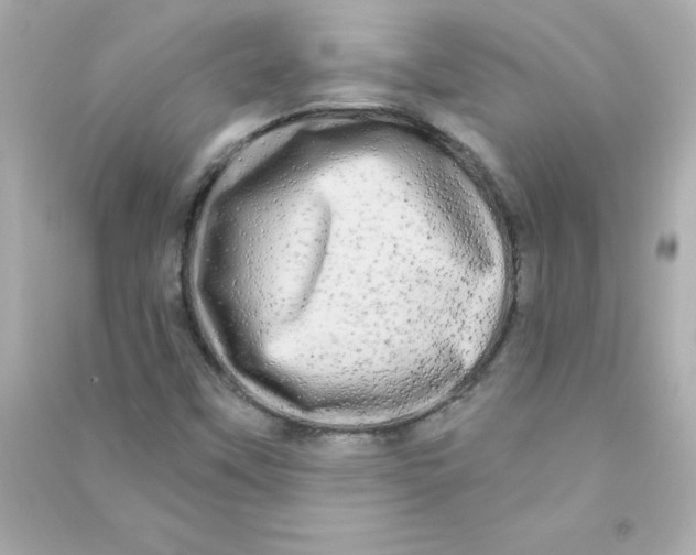 X0000090441451200708102017