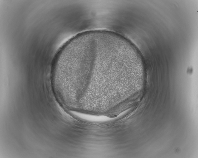 X0000090441452200708102017