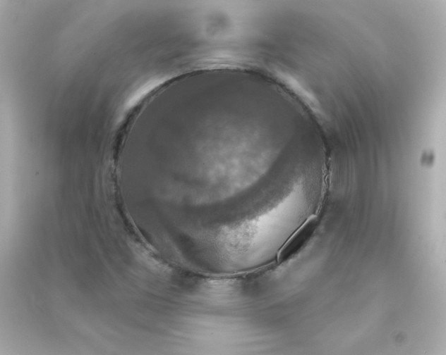 X0000090441453200708102017