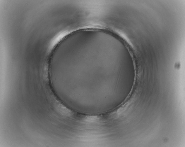 X0000090441455200708102017