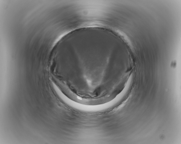 X0000090441457200708102017