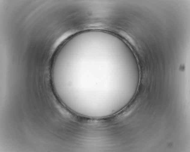 X0000090441458200708102017