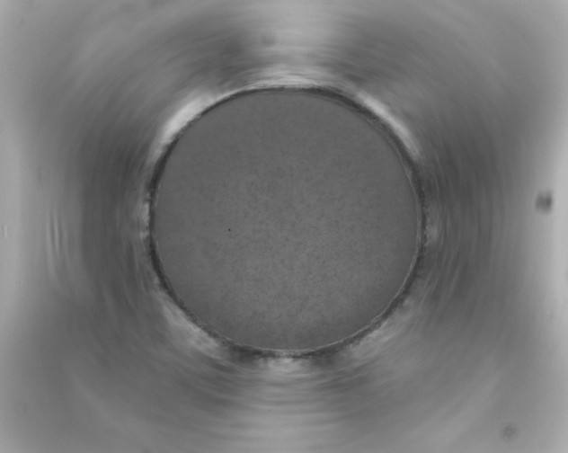 X0000090441459200708102017