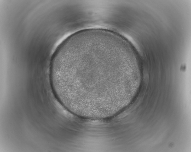 X0000090441460200708102017