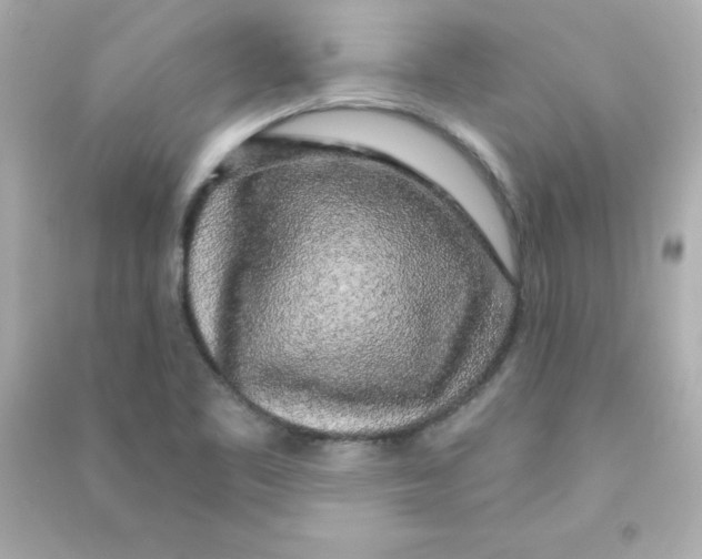 X0000090441461200708102017