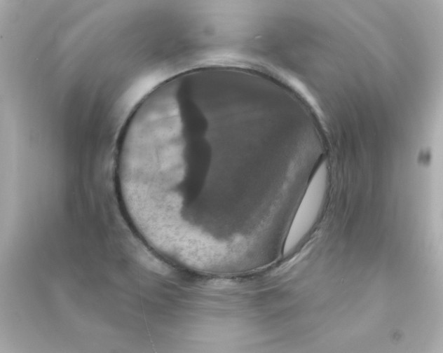 X0000090441463200708102017