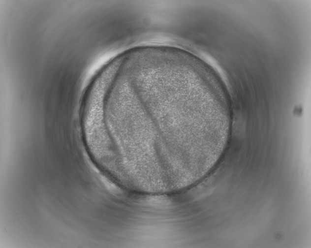 X0000090441464200708102017