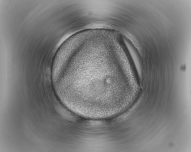 X0000090441465200708102017