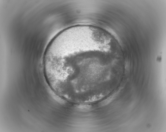 X0000090441466200708102017