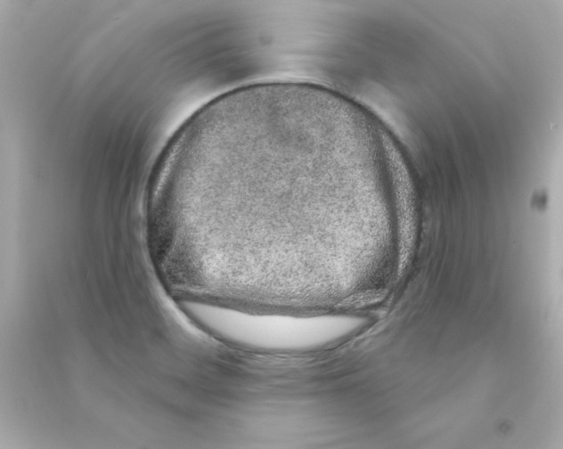 X0000090441468200708102017