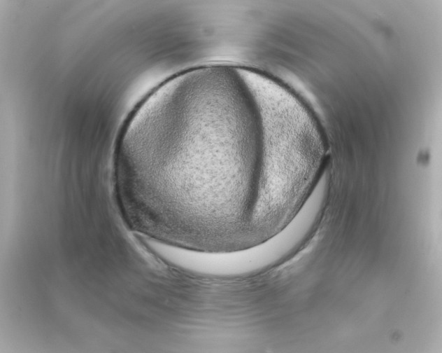 X0000090441469200708102017