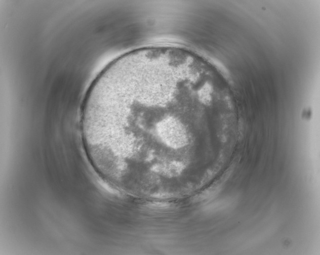 X0000090441470200708102017