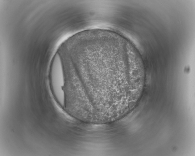 X0000090441471200708102017