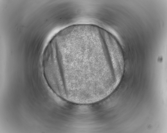 X0000090441472200708102016