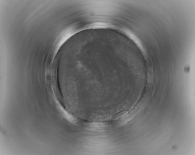 X0000090441473200708102016