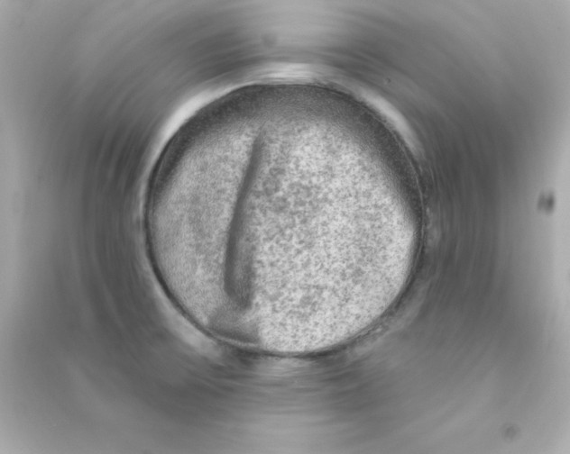 X0000090441475200708102016