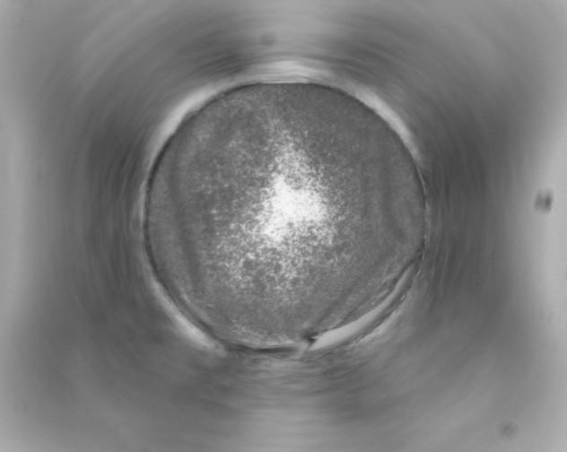 X0000090441477200708102016