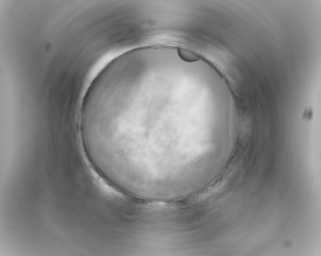 X0000090441478200708102016