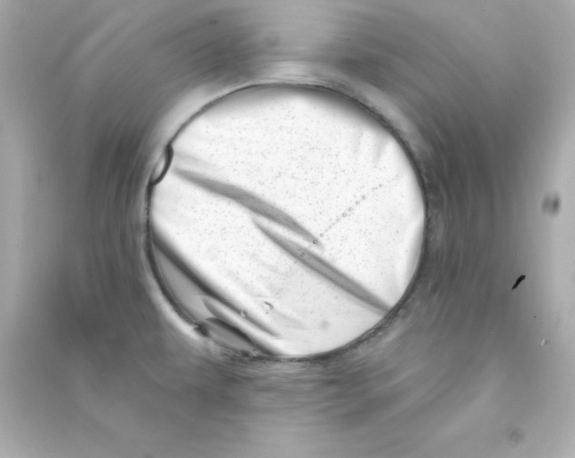 X0000090441479200708102016