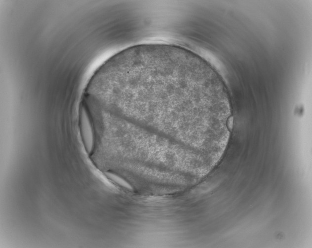 X0000090441480200708102016