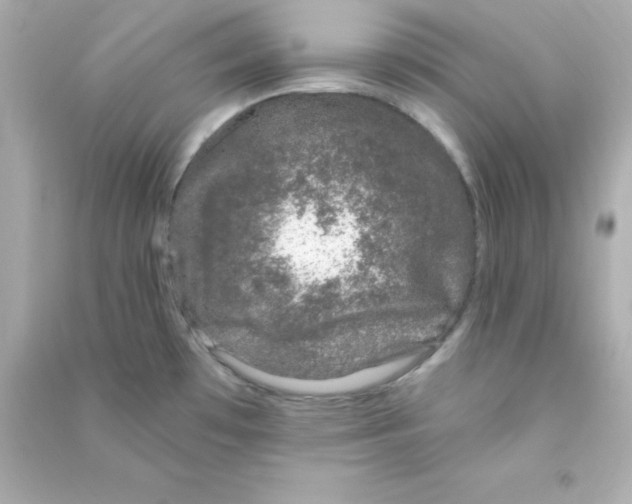 X0000090441481200708102016