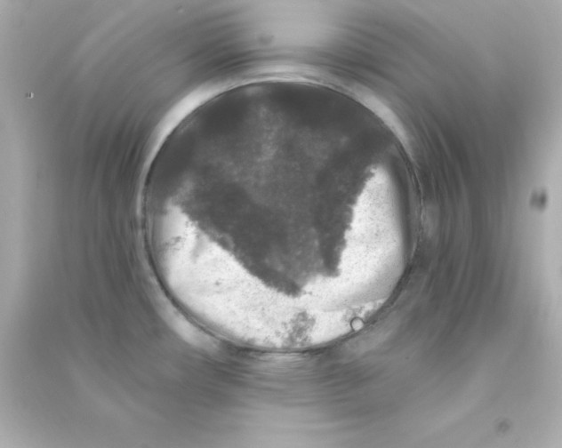 X0000090441482200708102016