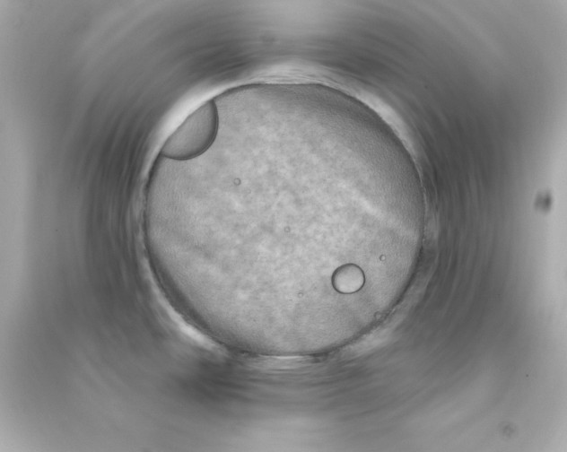 X0000090441486200708102016