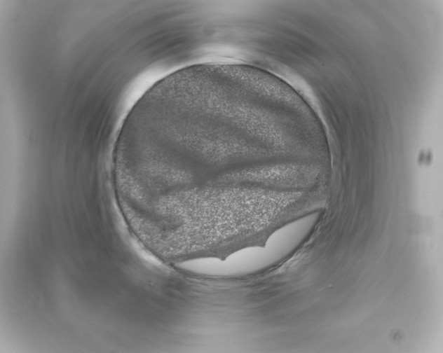 X0000090441488200708102016