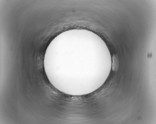 X0000090441491200708102015