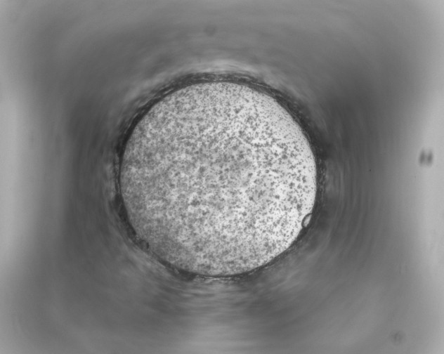 X0000090441493200708102016