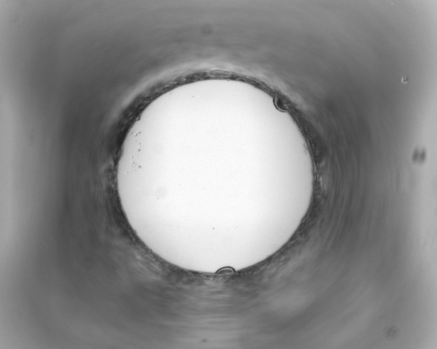 X0000090441495200708102016