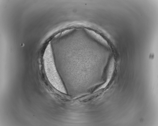 X0000090441496200708102016